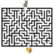 Die Mäusestrategie - Rätsel, wie die Maus den Käse findet